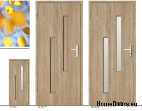 Portes de salle de bain avec verre pour WC CELEBES 60 Portes de salle de bain avec verre pour WC CELEBES 60