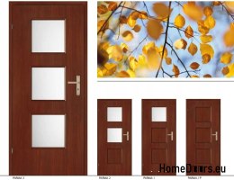 Portes intérieures de la chambre avec verre PARMA 70