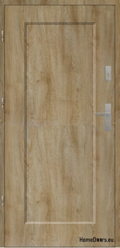 PORTES EXTÉRIEURES POLONAISES T01 55 mm polystyrène 100 PORTES EXTÉRIEURES POLONAISES T01 55 mm polystyrène 100