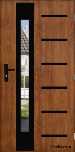 Porte extérieure ÉPAISSE 101mm CHAUDE AVEC MIROIR