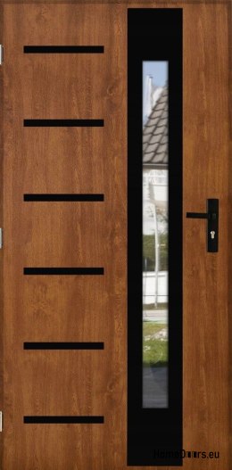 Porte extérieure ÉPAISSE 101mm CHAUDE AVEC MIROIR