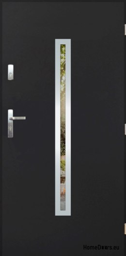Porte extérieure avec miroir W-12 INOX 70/80/90/100