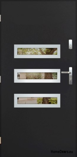 Porte extérieure avec rétroviseur W-4 INOX 70/80/90/100