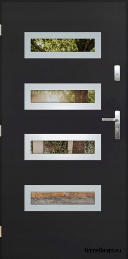 Porte extérieure avec rétroviseur W-6 INOX 70/80/90/100