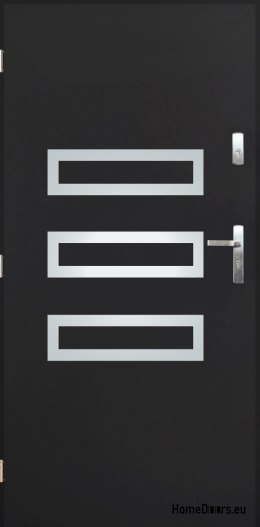 Porte extérieure pleine A-4 INOX 70/80/90/100