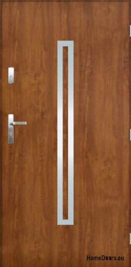 Porte extérieure pleine A-12 INOX 70/80/90/100