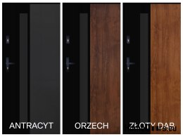 Porte Extérieure PANTOR ALPINE-PASIVE 01 Droite 90 Anthracite Epaisseur72mm Chaud