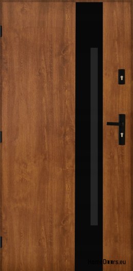 Portes extérieures Acier poli 55mm Tango 04 80 gauche chêne doré