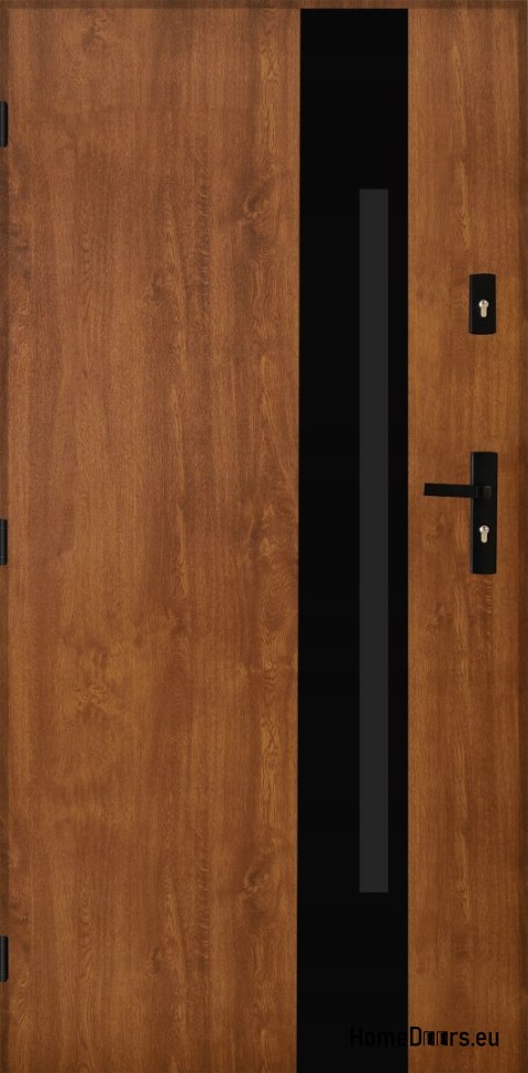 Portes extérieures Acier poli 55mm Tango 04 80 gauche chêne doré Portes extérieures Acier poli 55mm Tango 04 80 gauche chêne doré