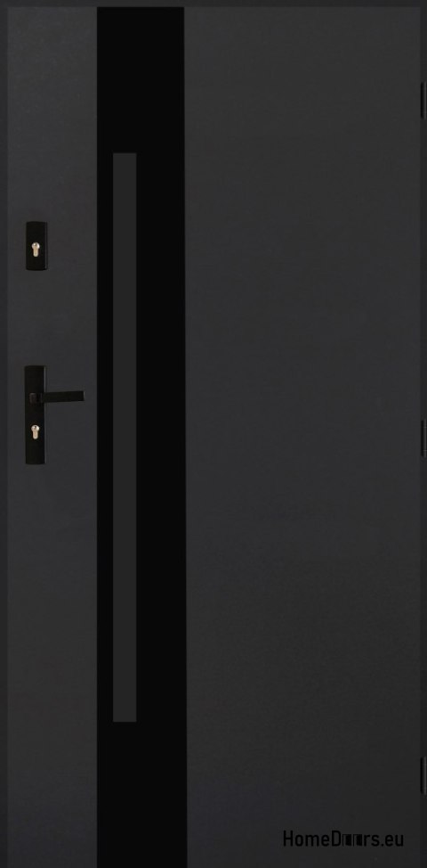 Porte extérieure Acier poli 55mm Tango 04 80 droite anthracite Porte extérieure Acier poli 55mm Tango 04 80 droite anthracite