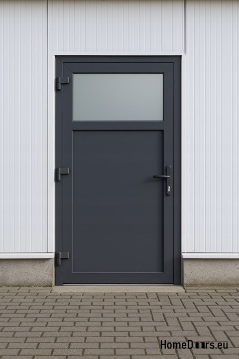 PORTE DOMESTIQUE TECHNIQUE EXTÉRIEURE PVC 90X205 cm ANTHRACITE GAUCHE PORTE DOMESTIQUE TECHNIQUE EXTÉRIEURE PVC 90X205 cm ANTHRACITE GAUCHE