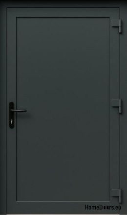 PORTES TECHNIQUES D’EXTÉRIEUR MAISON PVC 90X205 cm ANTHRACITE DROITE
