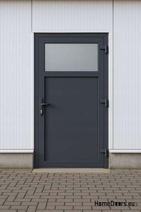 PORTES TECHNIQUES D’EXTÉRIEUR MAISON PVC 90X205 cm ANTHRACITE DROITE PORTES TECHNIQUES D’EXTÉRIEUR MAISON PVC 90X205 cm ANTHRACITE DROITE