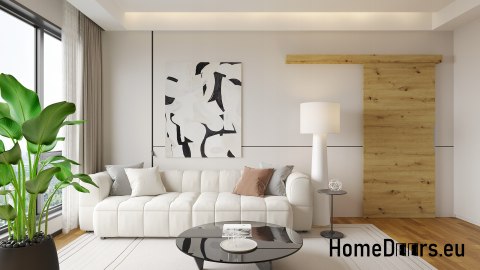 Porte coulissante murale ALFA + système coulissant BIRCH FATHERS DARK 95