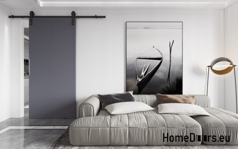 Porte coulissante 80 murale ALFA LOFT P 01 Anthracite 85 + système coulissant