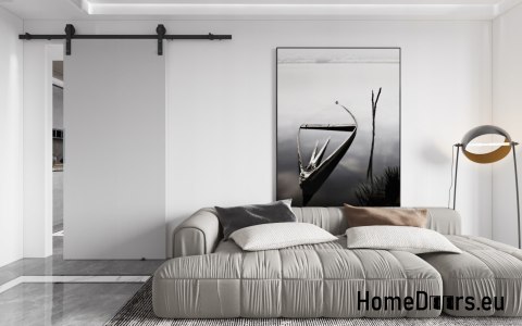 Porte coulissante murale 80 ALFA LOFT P 01 Grey 85 + Système coulissant