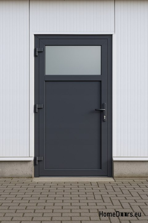 PORTE TECHNIQUE EXTERNE EN PVC 110X205 cm ANTHRACITE GAUCHE