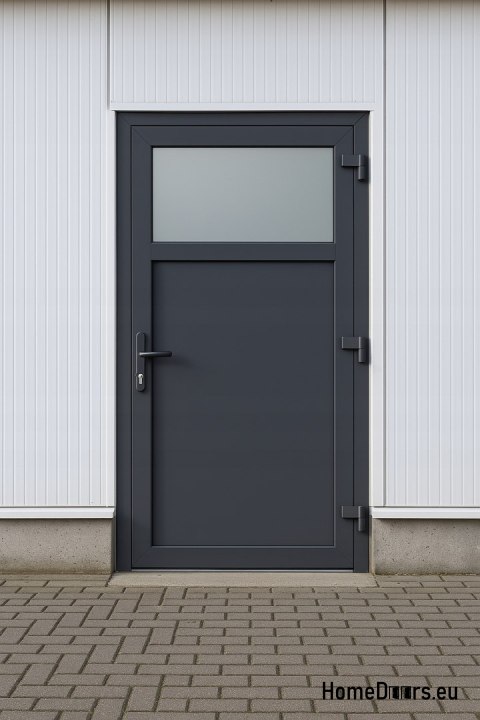 PORTE EXTERNE TECHNIQUE EN PVC 110X205 cm À DROITE ANTHRACITE